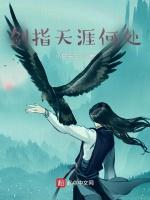 剑指天涯何处