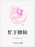 忙于修仙