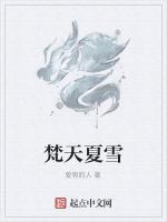 梵天夏雪