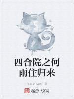 四合院之何雨住归来