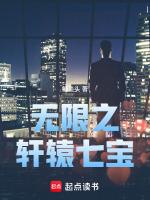 无限之轩辕七宝