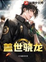 盖世骁龙