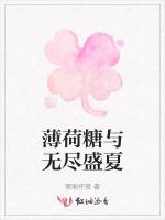 薄荷糖与无尽盛夏