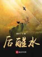 醒水集