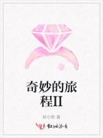 奇妙的旅程II