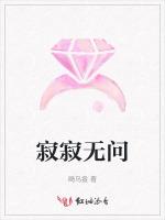 寂寂无问