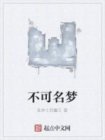 不可名梦