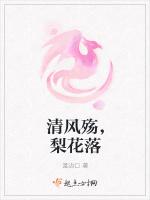 清风殇，梨花落