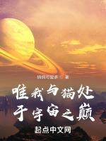 唯我与猫处于宇宙之巅