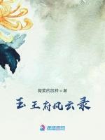 玉王府风云录