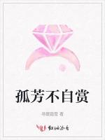 孤芳不自赏