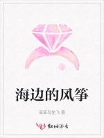 海边的风筝