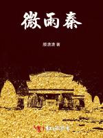 微雨秦