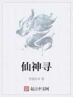仙神寻