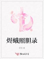 烬蛾照胆录