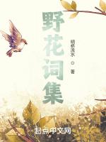 野花词集