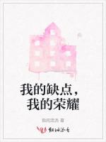 我的缺点，我的荣耀
