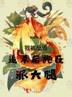 我被反派追杀后抱反派大腿