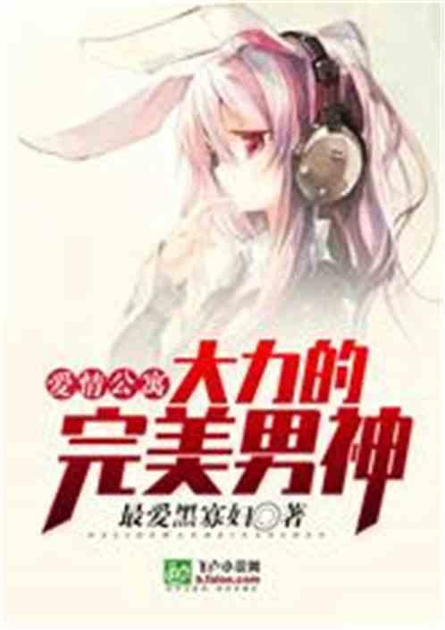 爱情公寓：大力的完美男神