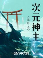 无限之次元神主