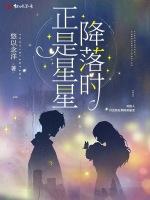 正是星星降落时