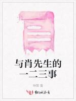 与肖先生的一二三事
