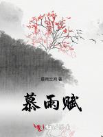 慕雨赋