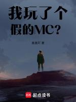 我玩了个假的MC？