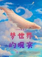 梦世界的现实