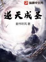 逆天成圣
