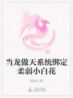 当龙傲天系统绑定柔弱小白花