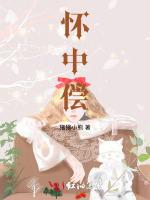 怀中偿