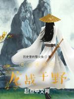 资治通鉴之龙战于野