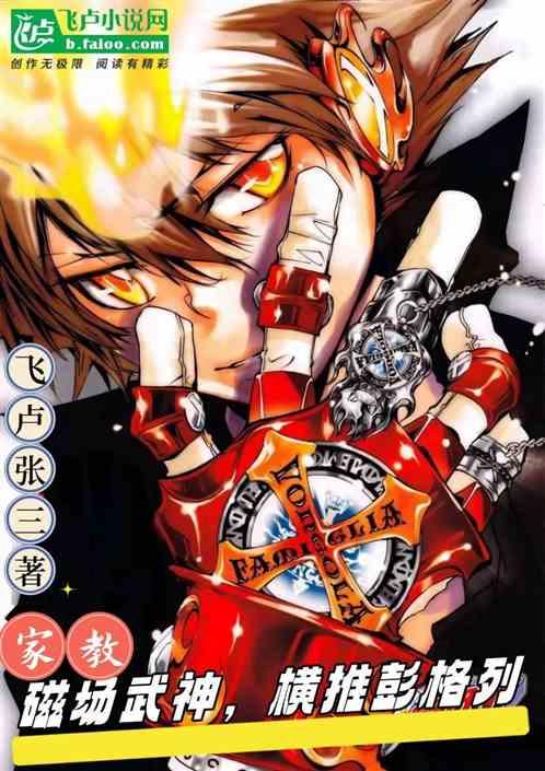家教：磁场武神，横推彭格列！