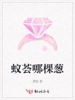 蚁荟哪棵葱