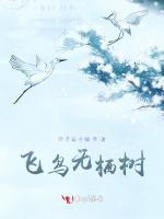 飞鸟无栖树