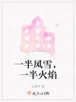 一半风雪，一半火焰