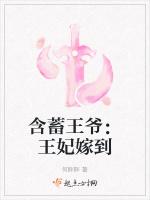 含蓄王爷：王妃嫁到