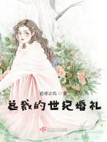 重生之总裁的世纪婚礼