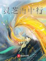 灵芝雨中行