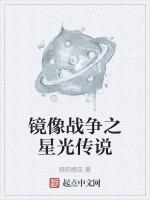 镜像战争之星光传说