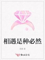 相遇是种必然