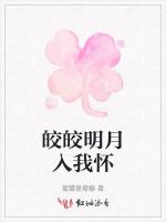 皎皎明月入我怀