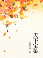 天下宝鉴
