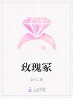 玫瑰冢