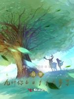 斗罗：乔木你buff太多了
