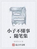 小子不懂事，随笔集