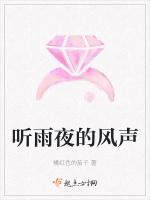听雨夜的风声