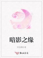 暗影之缘