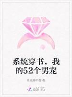 系统穿书，我的52个男宠